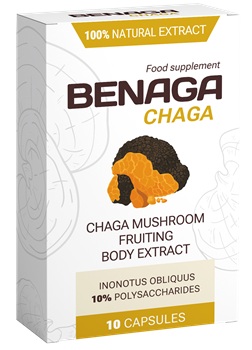 benaga chaga tablety Slovensko