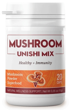 Unishi Mix Mushroom Kapsuly Slovensko