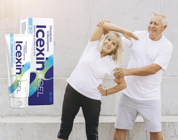 Zloženie a zložky Icexinu