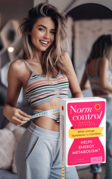 Ako používať Normcontrol – návod